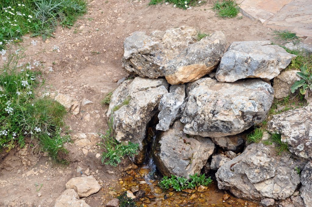 NACIMIENTO DEL RIO TAJO TERUEL ARAGON by Rafael Noe