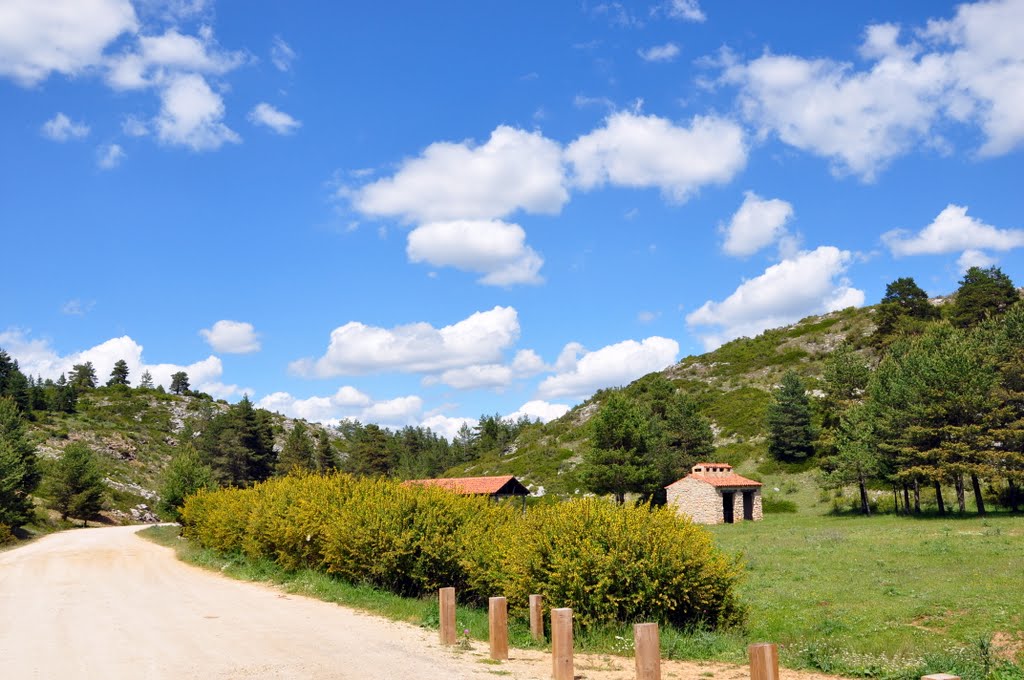 NACIMIENTO DEL RIO TAJO TERUEL ARAGON by Rafael Noe