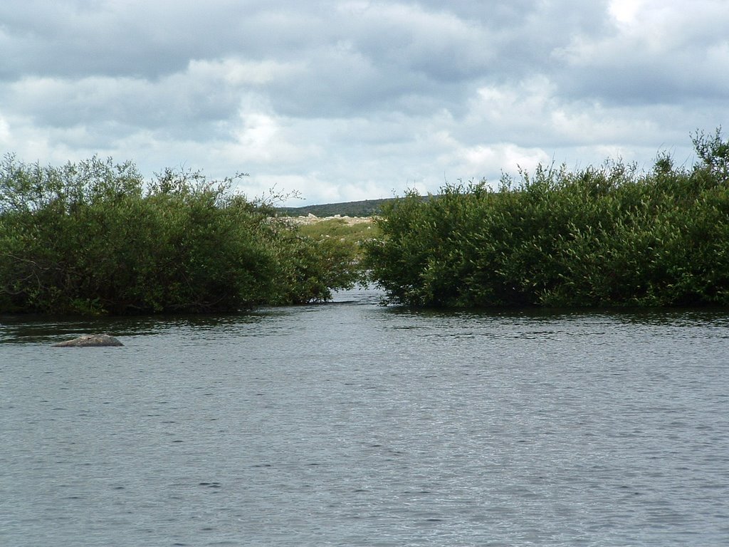 Narrow channel on Charpentier River by Lester Kovac