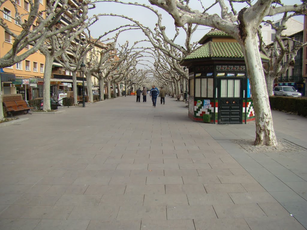 Paseo de las Cortes de Aragón. Calatayud "invernal" by vakeka@gmail.com