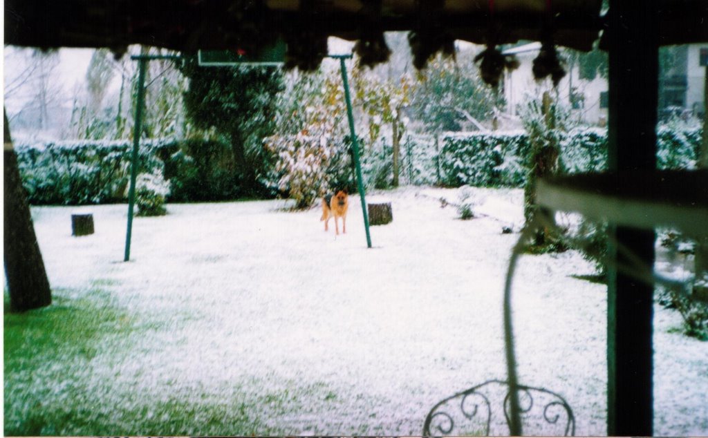 Neve alla Pieve by fuscoruber