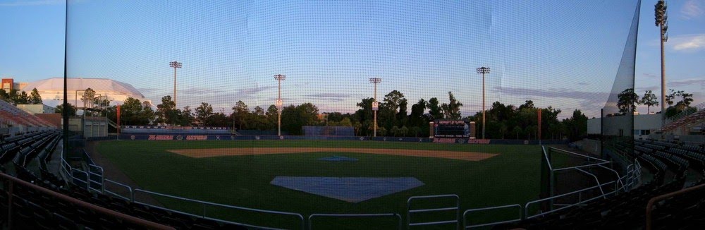 Gator Baseball by tkmoe18