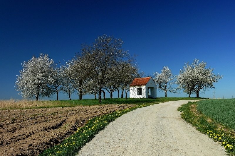 Magic of Spring by © alfredschaffer