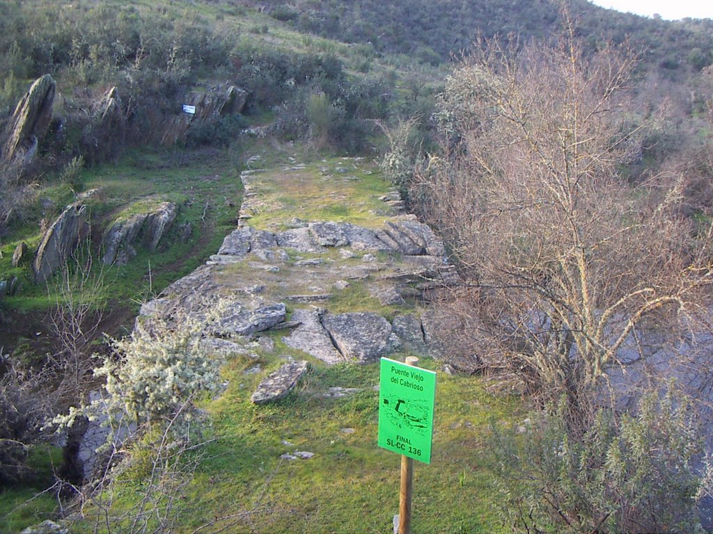 PUENTE VIEJO DEL CABRIOSO (POSIBLE ORIGEN CELTA) by VJAGUIMEL