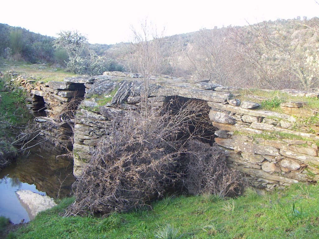 PUENTE VIEJO DEL CABRIOSO (POSIBLE ORIGEN CELTA) by VJAGUIMEL