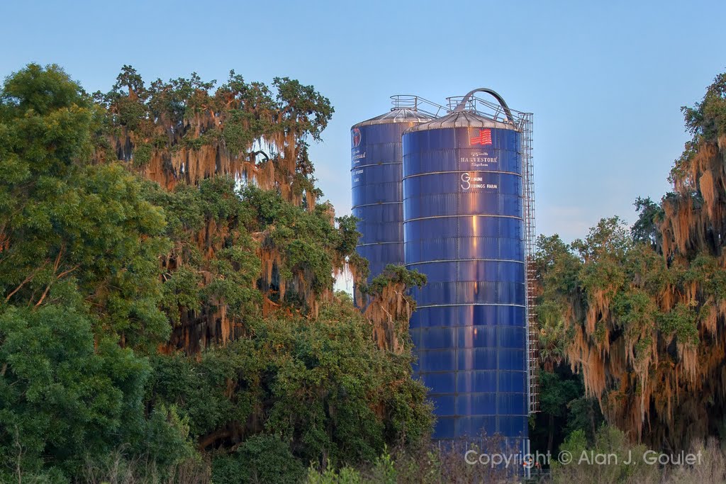 Gemini Springs Farm Silos by Alan Goulet