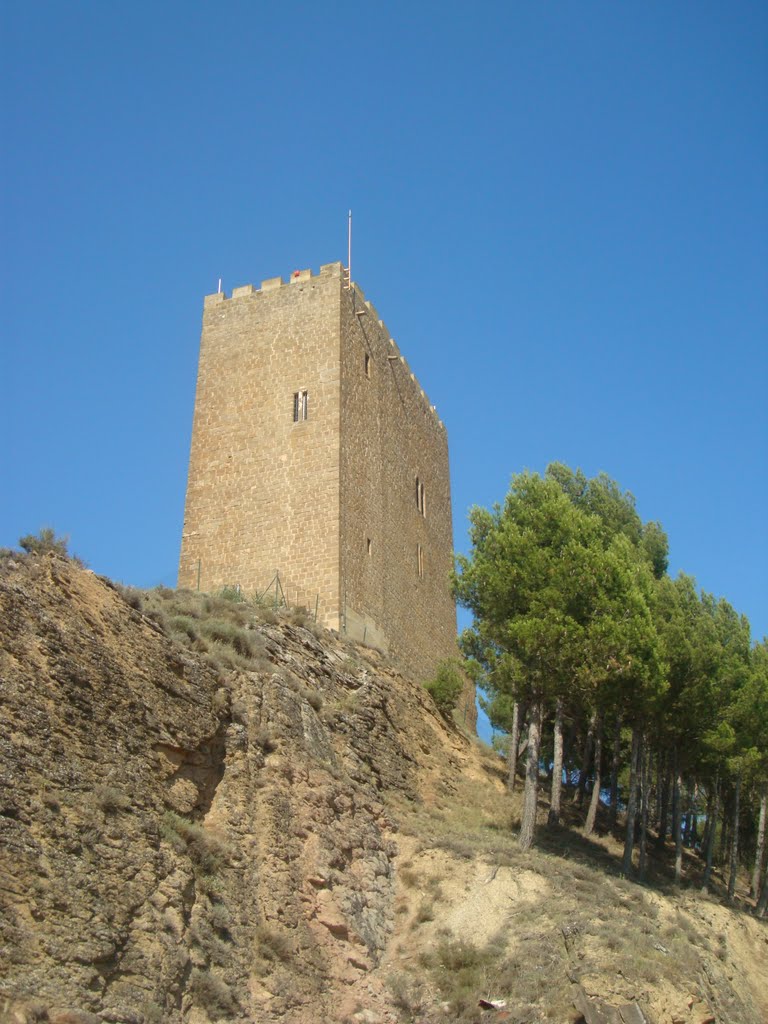 Castillo De Navardun by pedroj_ejea