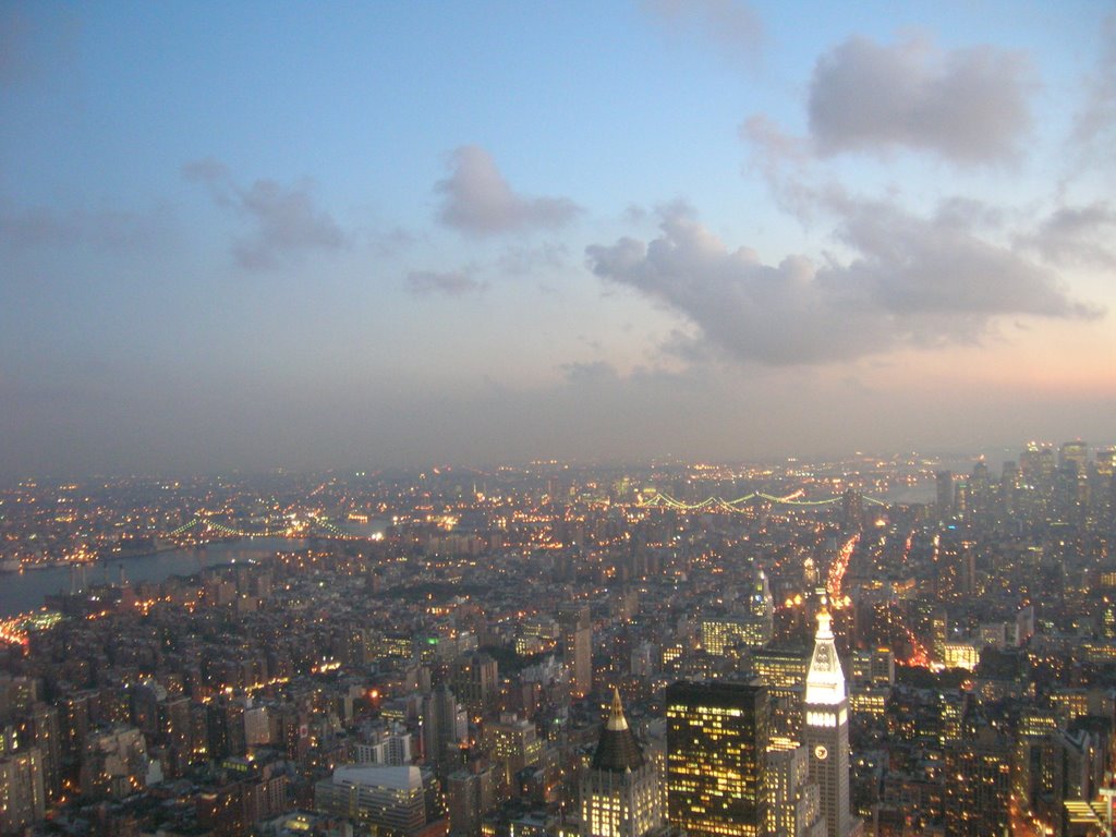 Vista Sur desde el Empire State Building - al fondo el puente de Manhattan y el de Brooklyn by yiyembo