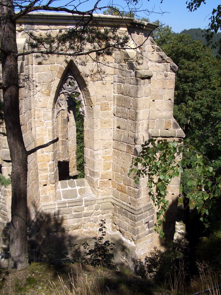 Ruine der Burgkirche by wolke99