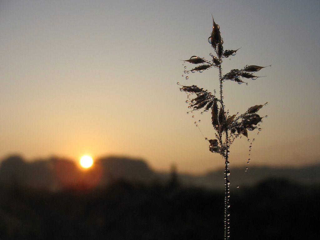 Sunrise bij landgoed Groeneveld (3) by Chris10 ©