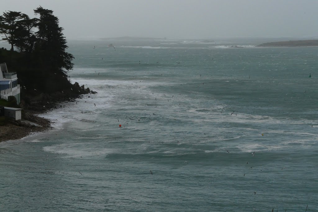 Saint-Pabu, vilain temps, tempête du 10/03/2008, soir by bigorneau perceur