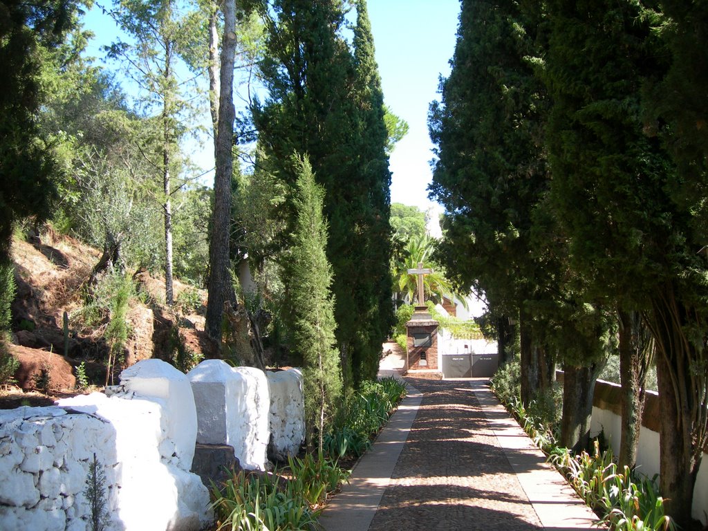 Entre cipreses camino de la Iglesia by José Mariscal