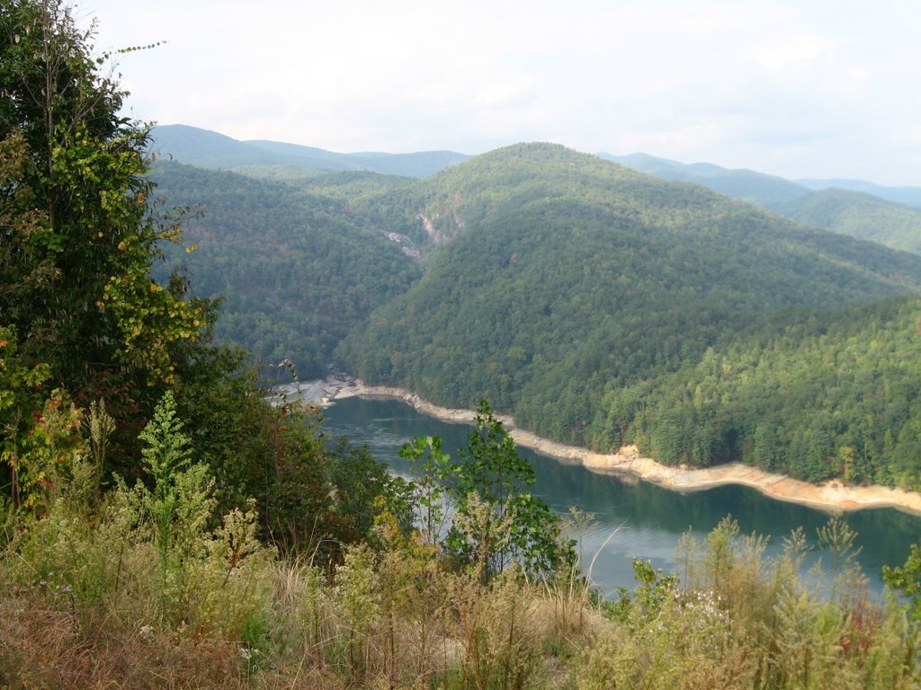 Lower Whitewater Falls from Overlook by Chris Sanfino