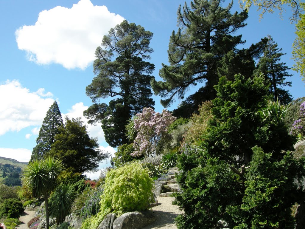 Opoho Park (botanical gardens) by Bert W