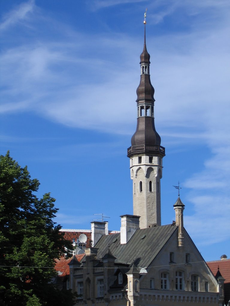 Tower of city hall by UTM Vlad