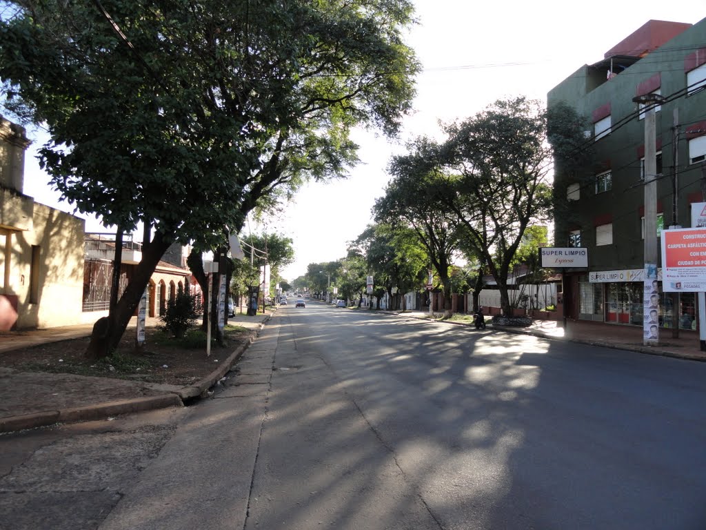 Avenida Centenario desde Bermúdez by chaporriste