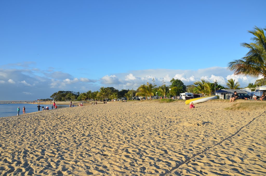 Beach Cotton tree Maroochydore.....Queensland ......Australia by hans van wyk