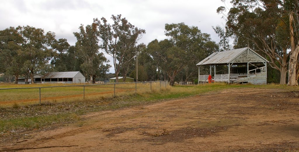 Grandstand at Koorawatha by snucklepuff