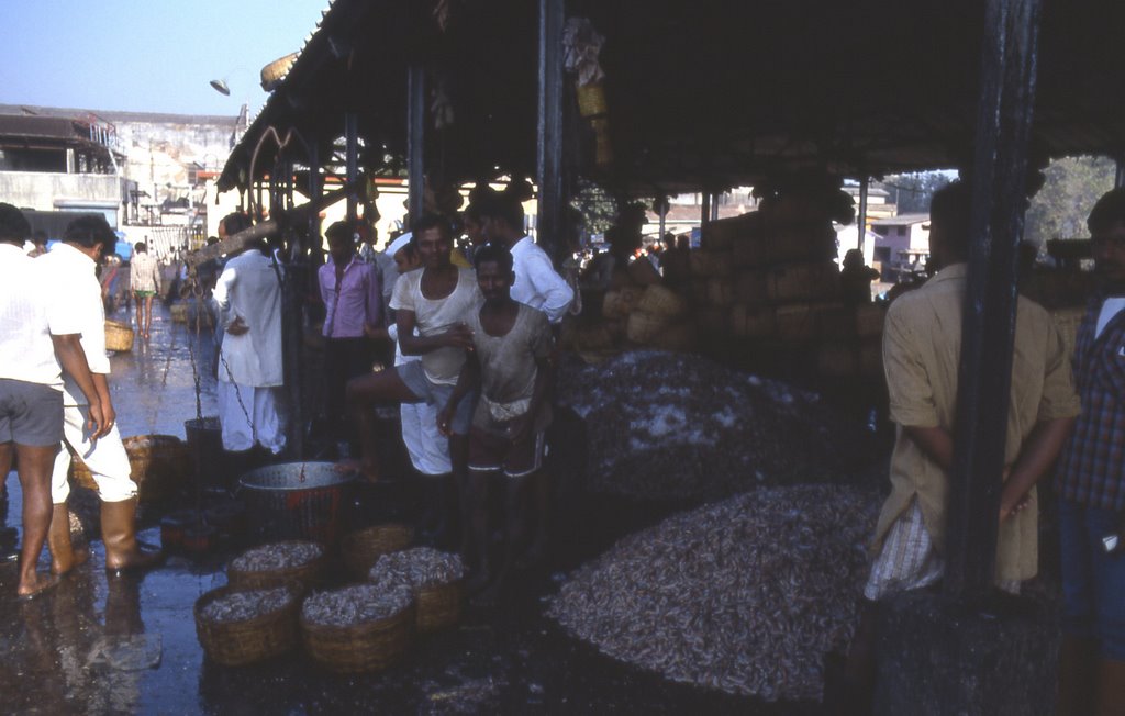 Bombay fish market by Elios Amati