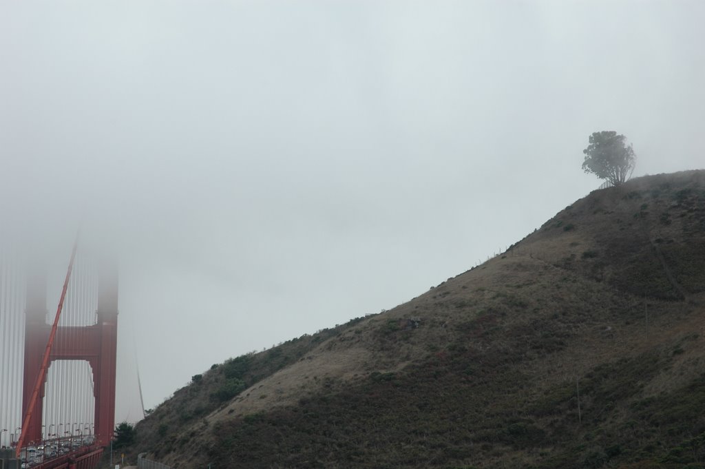 Fog City San Francisco by Annick Desjardins