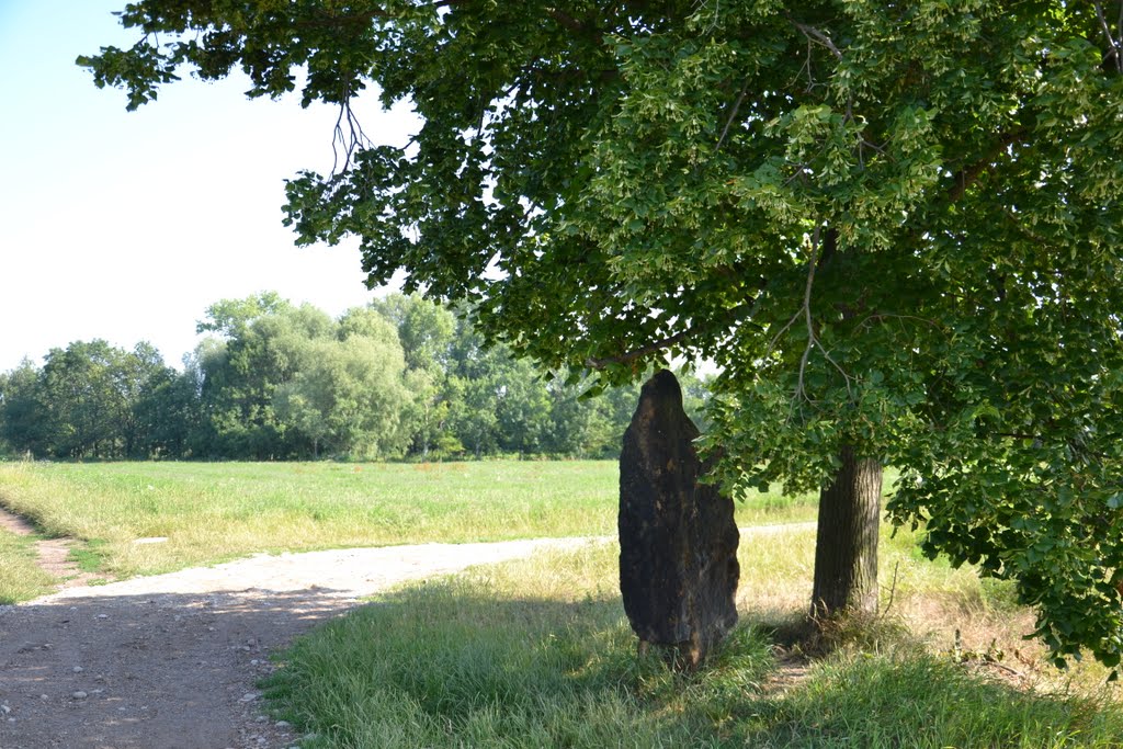 Slavětín - menhir by Quidnunc