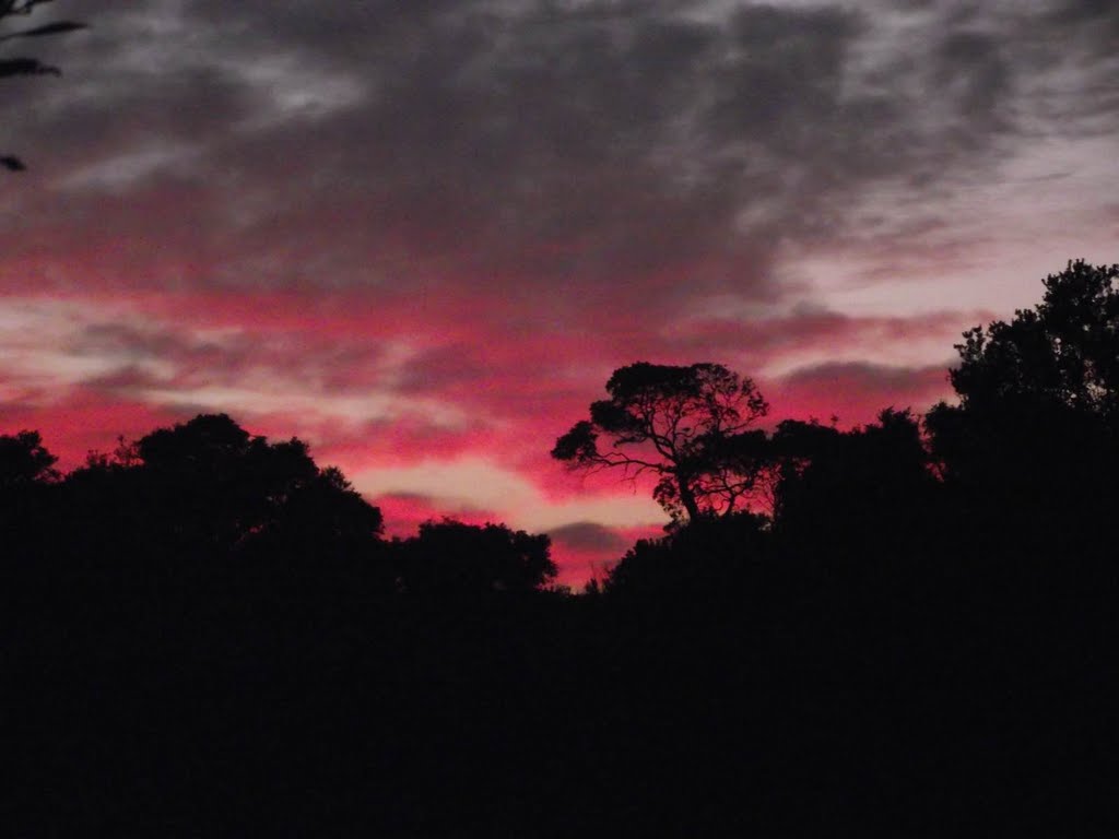 Sunrise over the Siyaya River, Mtunzini Jun-11 by Colin Summersgill