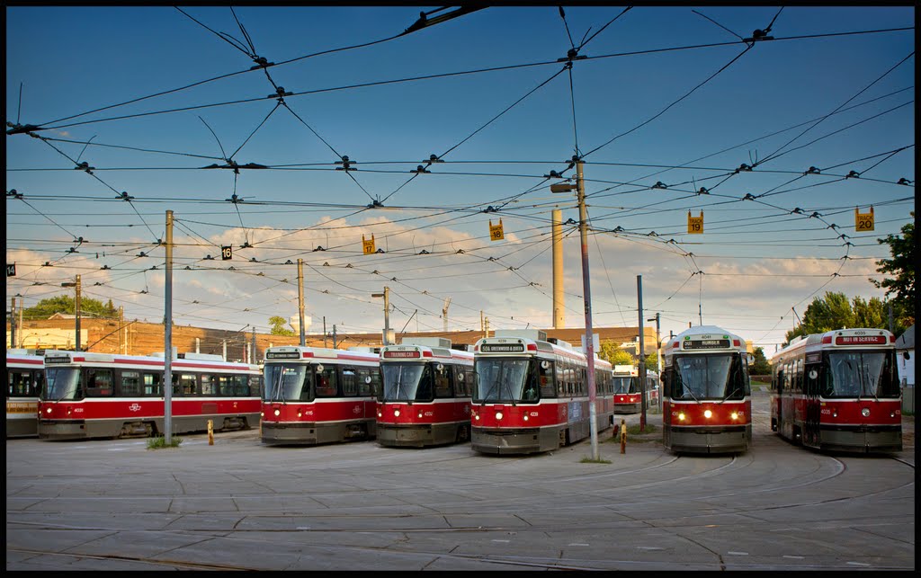 TTC Yard by Faryndale