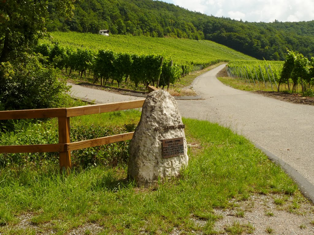 Bei Handthal: Blick von der Abt Ludwig Hütte zum Steigerwald by cammino - VIEWS? No, thanks