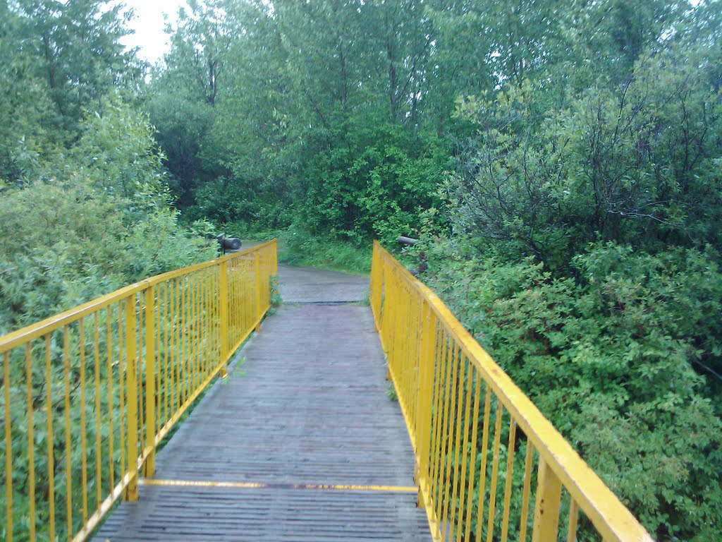 One Lane Bridge by ptcruiser08