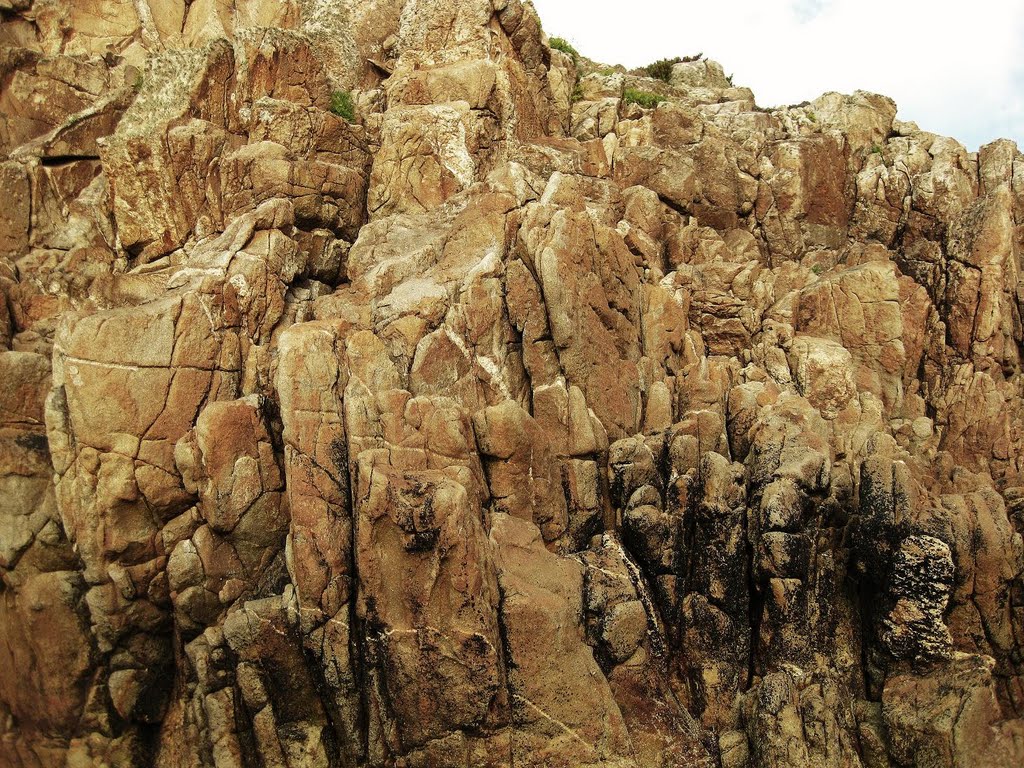 Detalle das esculturas naturais - Praia de Valcovo - (Arteixo) by fotocolocador