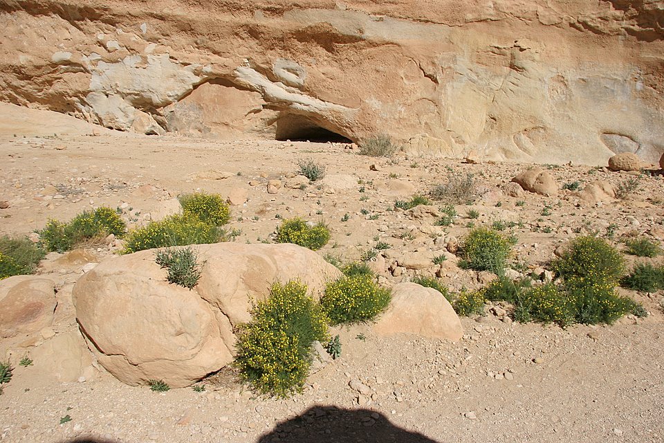 Star Wars Canyon (Luke meets Ben) by Hoylen Sue