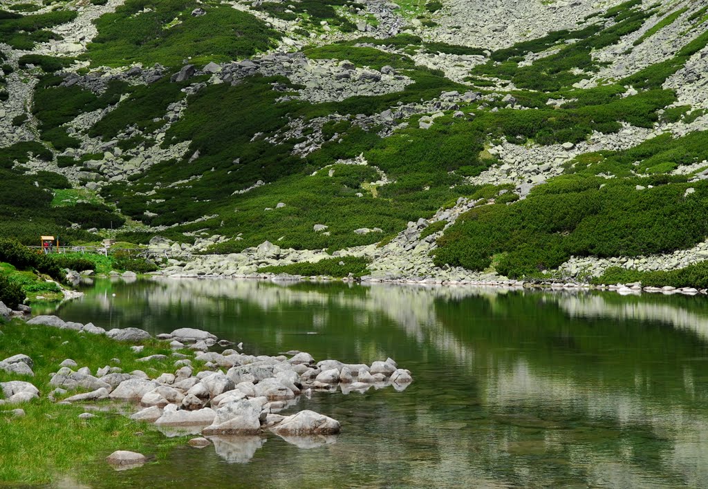 Skalnate pleso. Скальное озеро. 1751м. by nadiakushnir