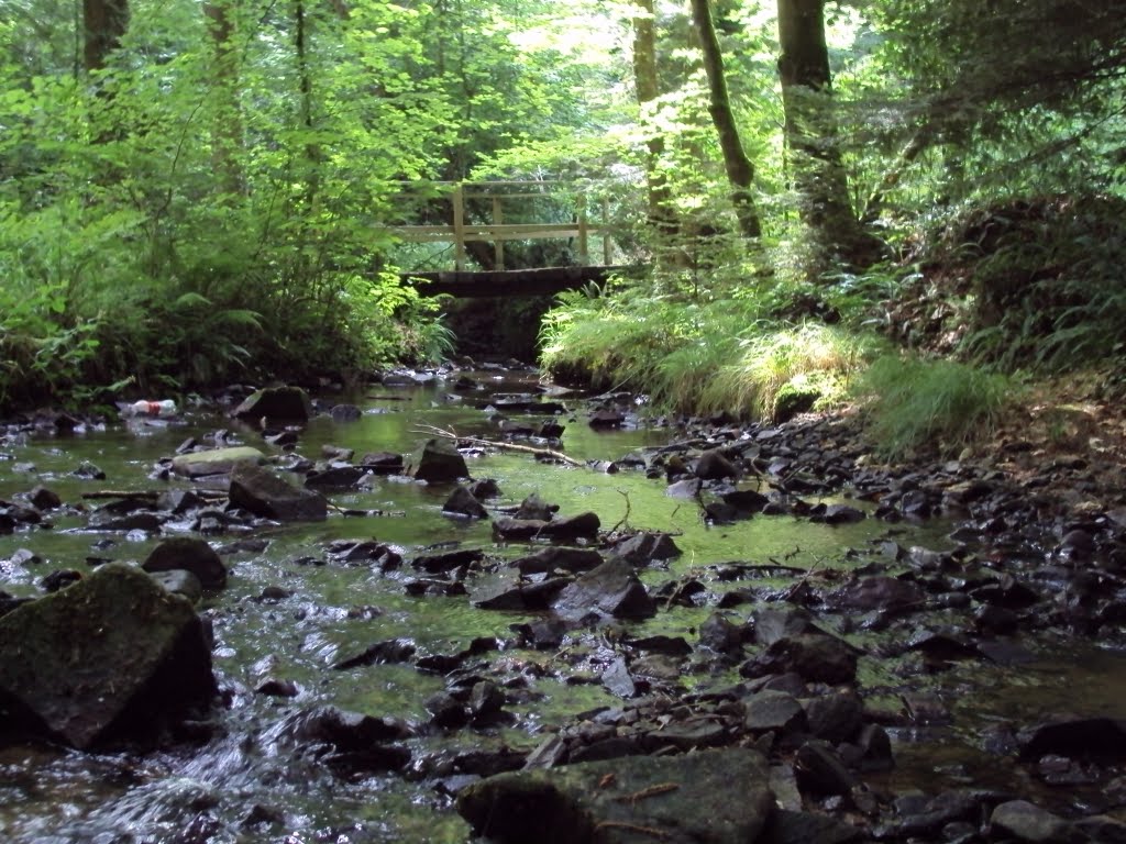 Pont de bois qui enjambe le truzugal à louannec by yann t.22