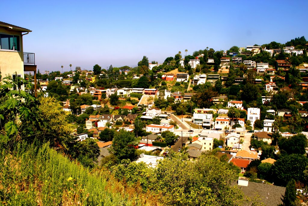 Homes on the Silverlake Hills, Los Angeles, CA by MICHAEL  JIROCH  &  www.michaeljiroch.com