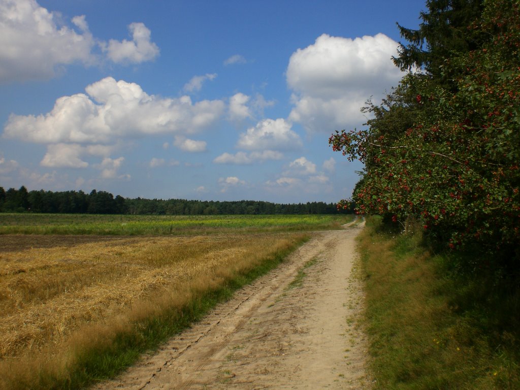 Spätsommertag by Christoph7