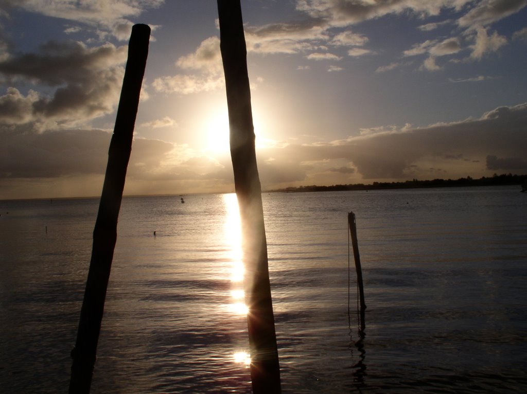 À l'aiguillon (Arcachon) by Daniel Pelletier