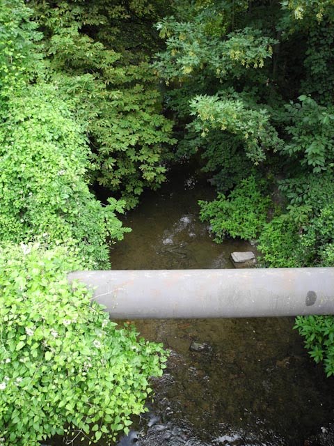 Einbeck: Krumme-Wasser in Richtung Bäckerwall by Kevin Arndt