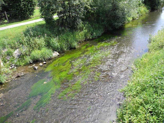 Einbeck: Krumme-Wasser in Richtung Willa-Wuff by Kevin Arndt