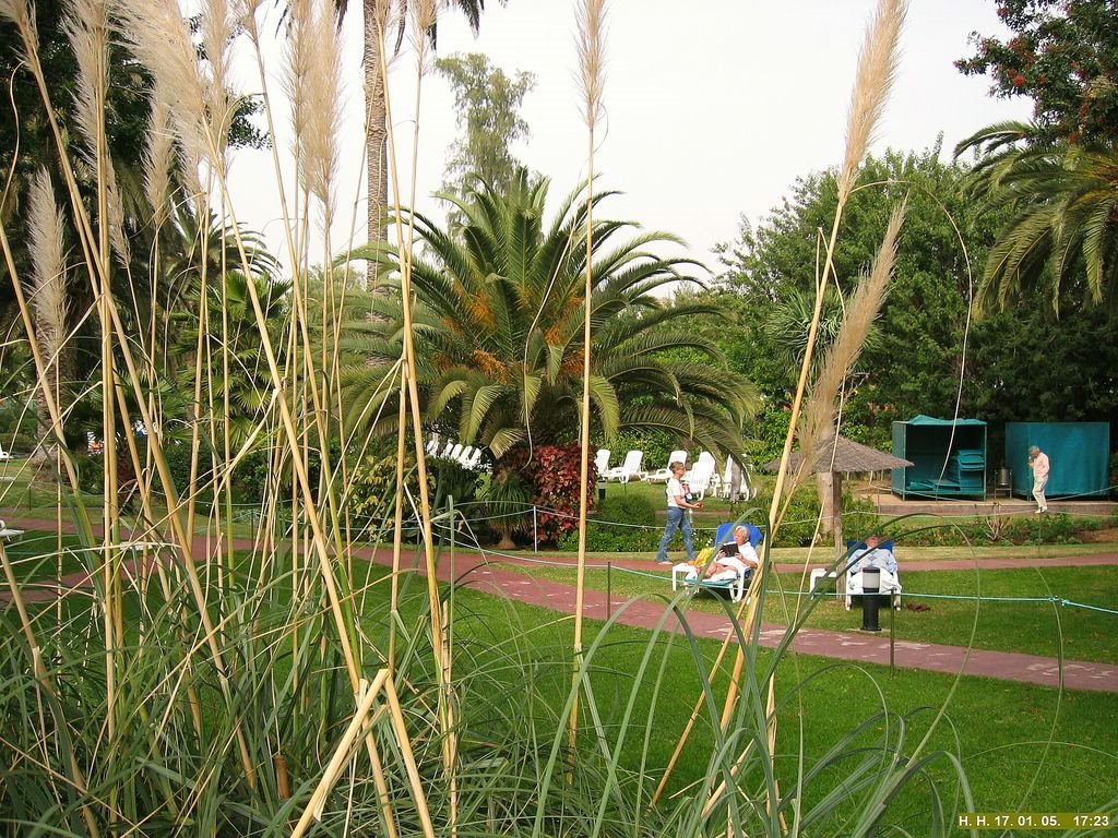 Der Palmengarten ist sehr schön und liegt in nähe des Strandes. by H. Hönow