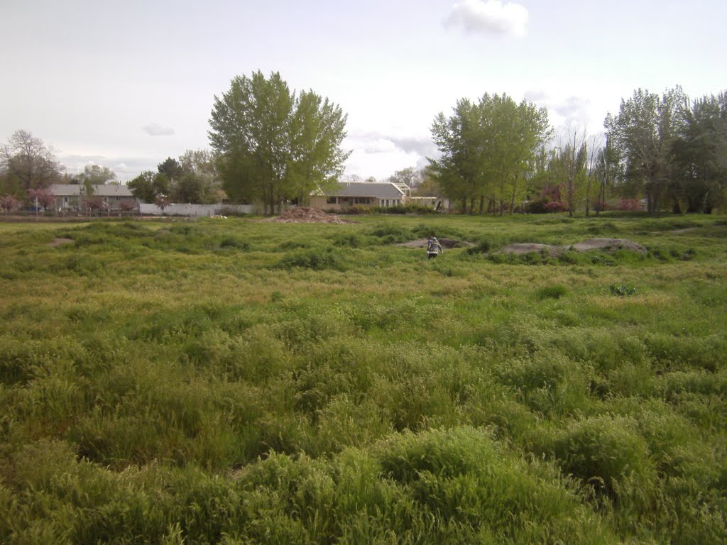 Green Field Near Jordan River Trail by atxd