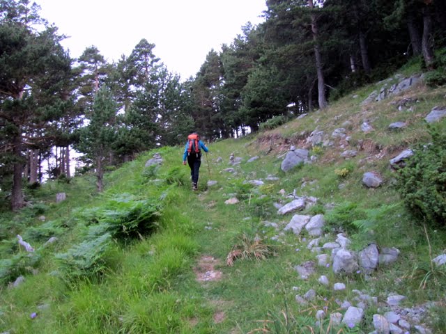 Inicio del ascenso a Collaradeta desde el Cubilar de Espata by SantiUsabiaga