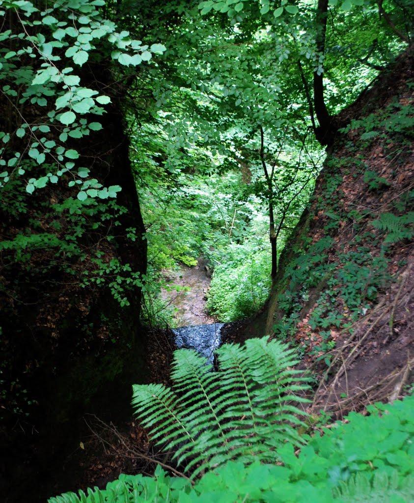 Marienschlucht (hinter der Ruine Kargegg) by gerrry1