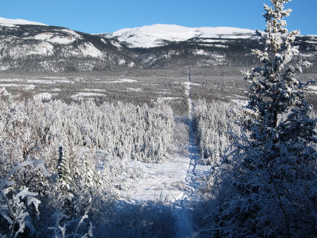 View along cut line by John McCall