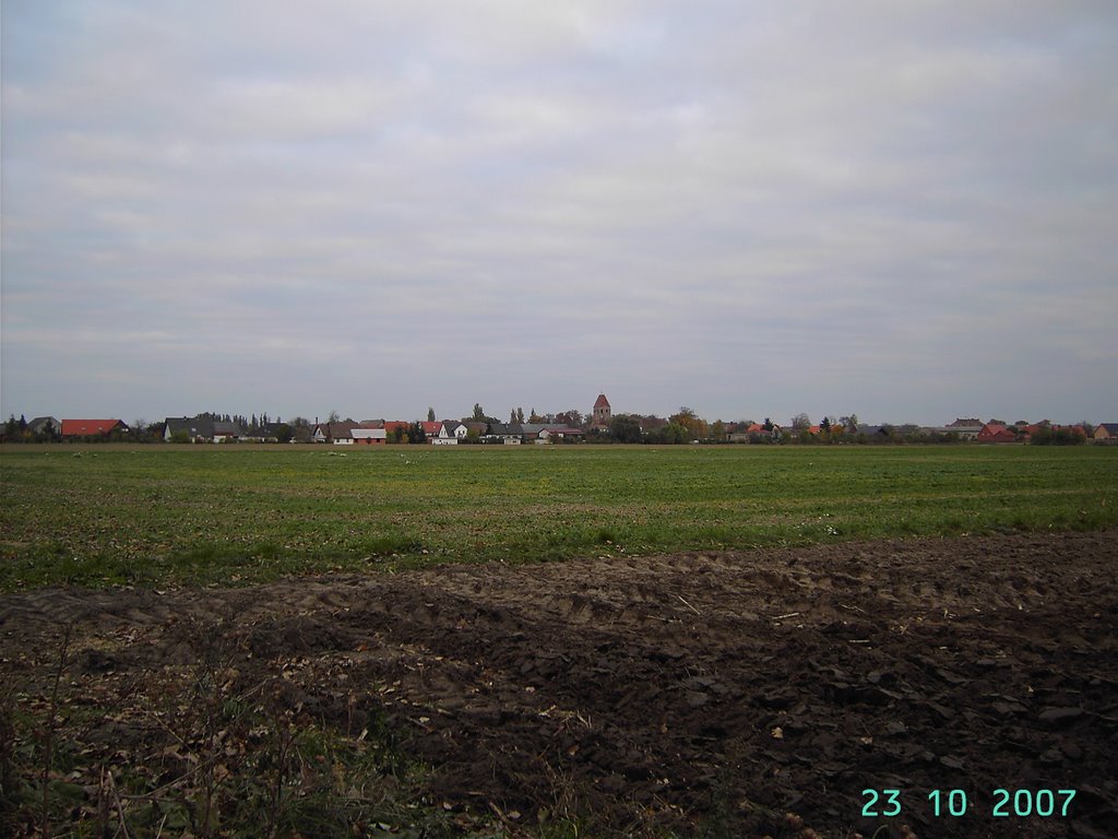 Blick über die "Ruthen" aus Süden by gulehmann