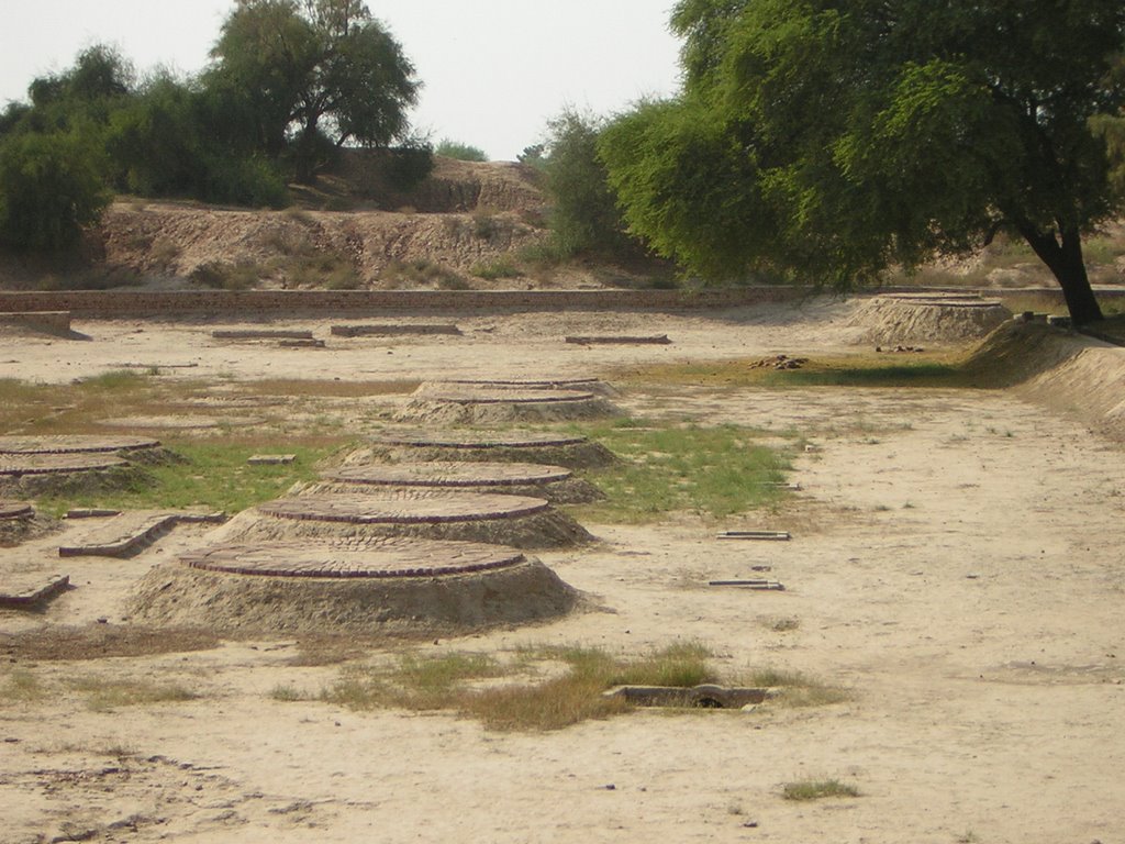 Harappa 9 by JanGasior