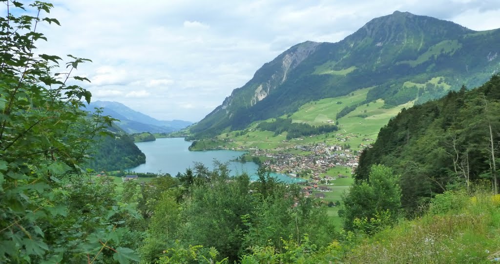 LungernSee T2011-06-20_1P_074 © http://www.fahidi.eu by Béla Fahidi