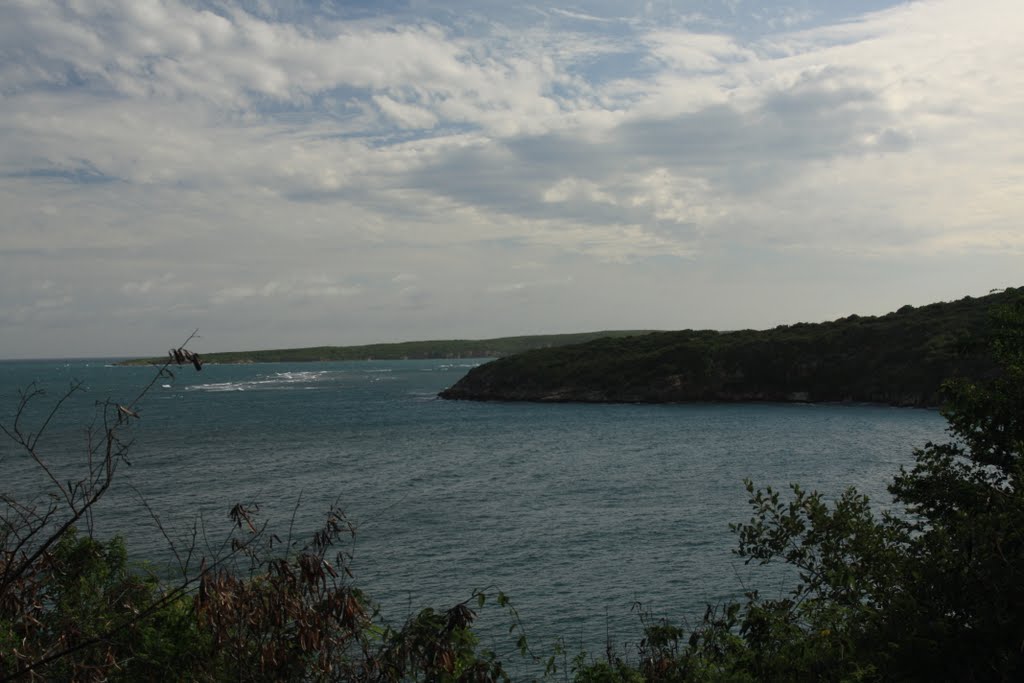 Bahía de Guanica by Ricardo David Jusino