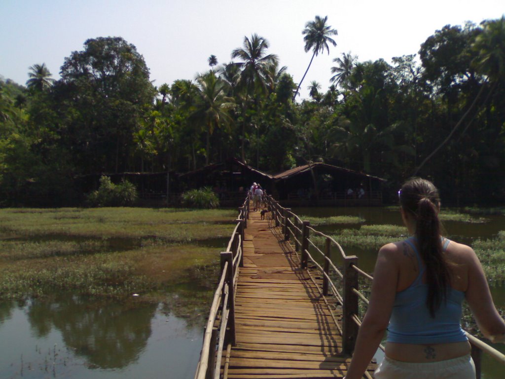 Bridge to, Spice Plantation Goa India by mrkydrd