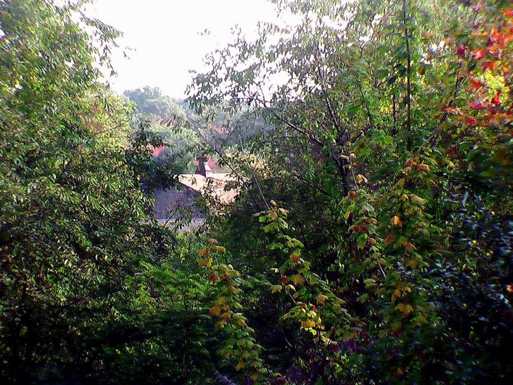 Ansonia Nature Center by MoMof4