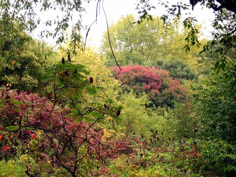 Ansonia Nature Center by MoMof4